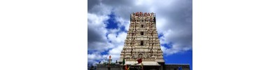 வடஅமெரிக்கா